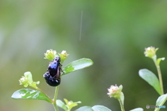 雨降る中で結ばれて