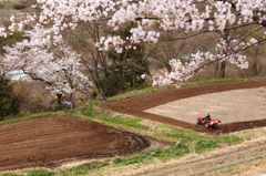 山の田んぼにて