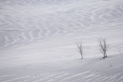 雪の波