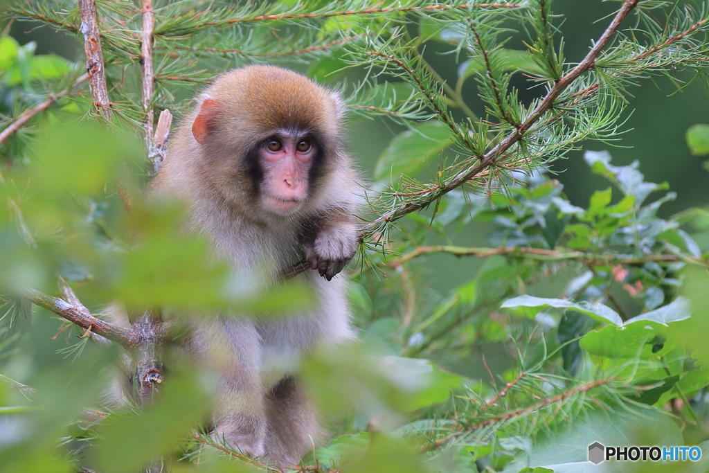 前を見据える君の表情に