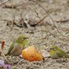 二人でお食事中♪