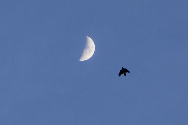 月をめざして〜♪