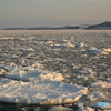 _R2C3611-2