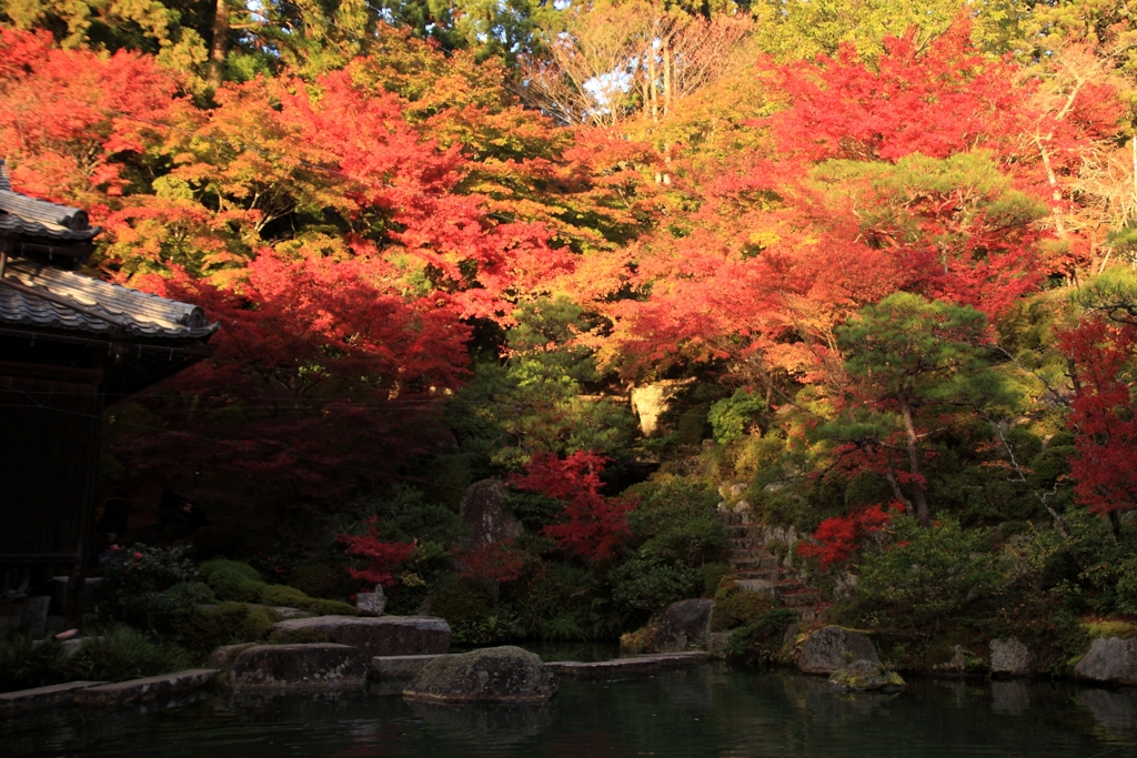 滋賀の百済寺