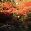 滋賀の百済寺