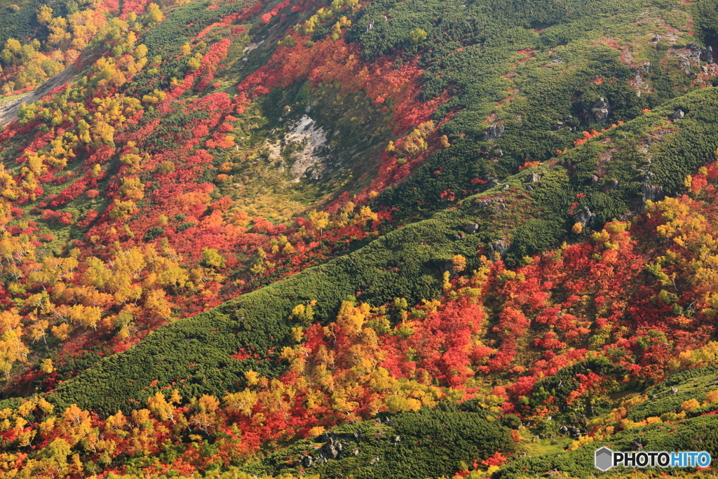 黒岳山頂より烏帽子岳