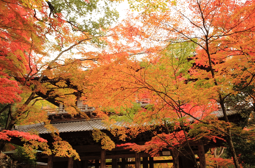 永源寺