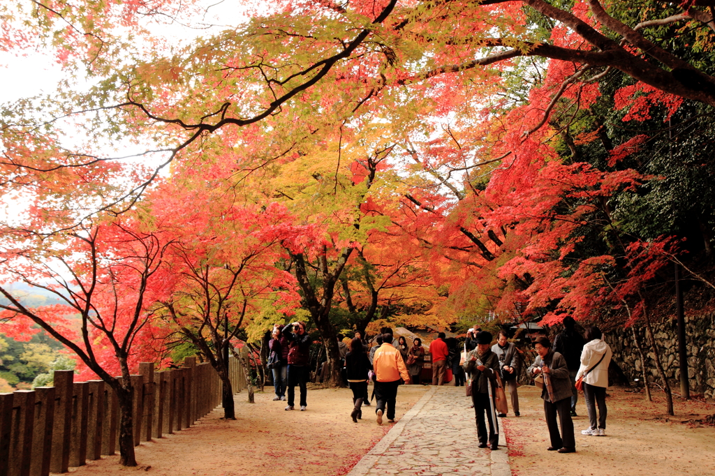 永源寺