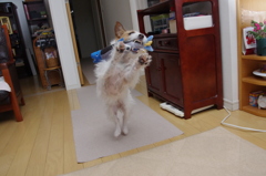 捕ぉったどぉ～！