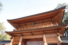 Canon EOS-1Ds Mark III - 0008