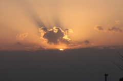 Canon EOS-1Ds Mark III - 0113