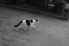 alone
