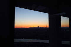 Window
