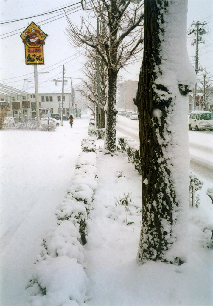 吹雪いた後
