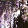 DSCF0221