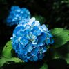 DSCF0781