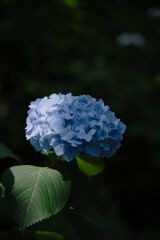 DSCF0833