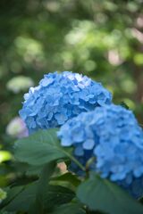 DSCF0821