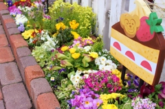 Spring!! 