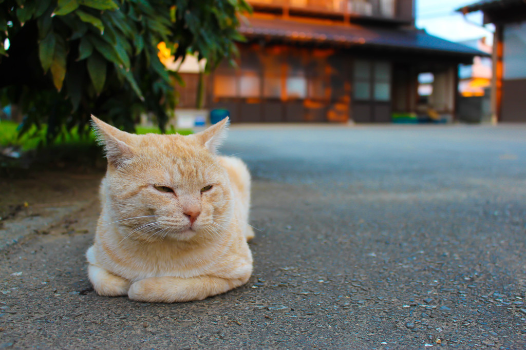 お庭で