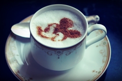 ｶﾌﾟﾁｰﾉ