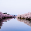 春陽橋から