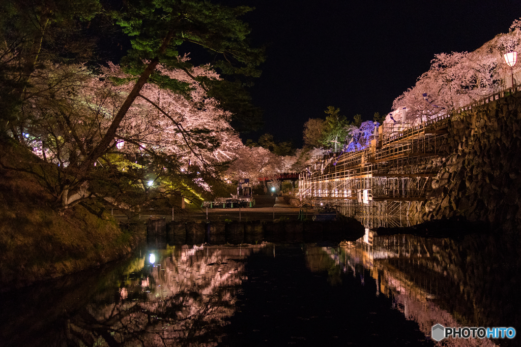 桜工事