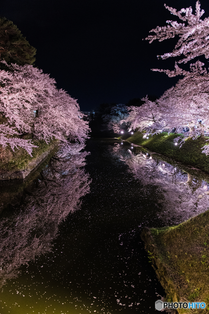 鏡桜Ⅱ