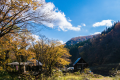 染まる樹々と青空