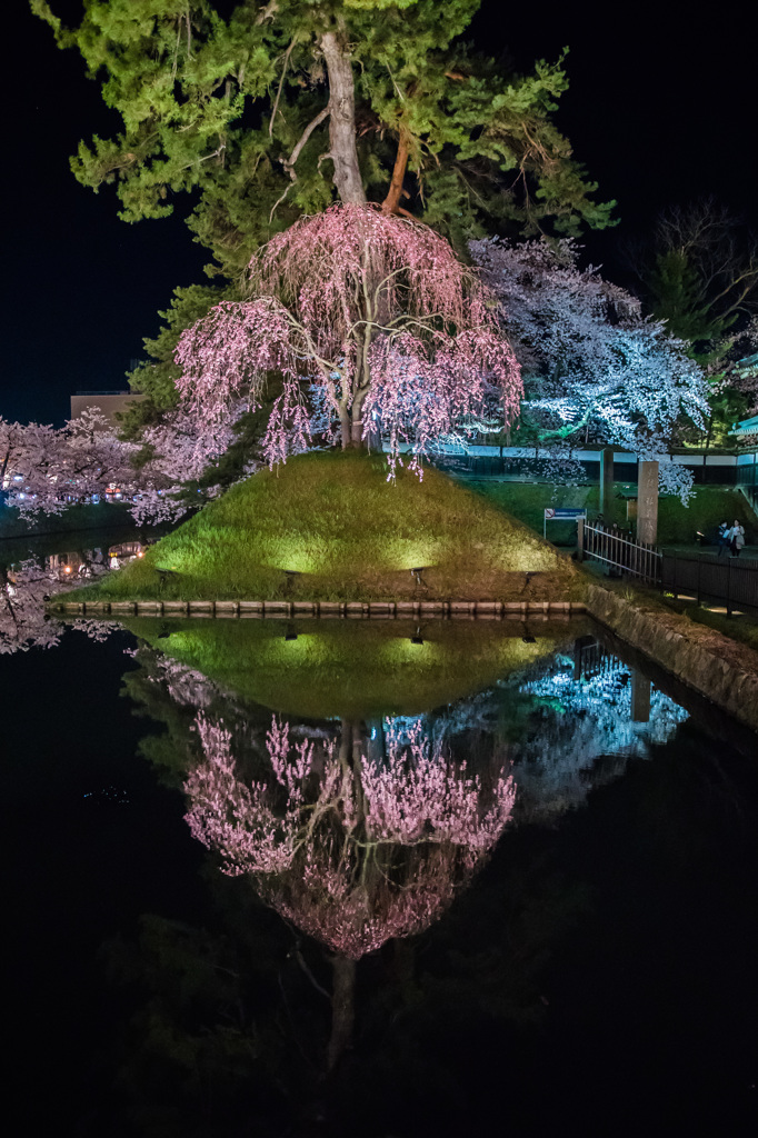 鏡桜