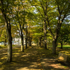 弘前公園