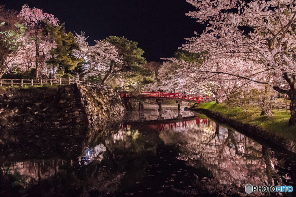 橋桜