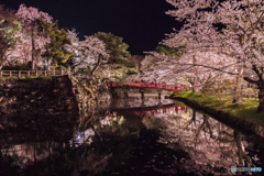 橋桜