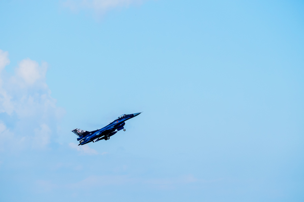 F-2 航空自衛隊60周年記念塗装機