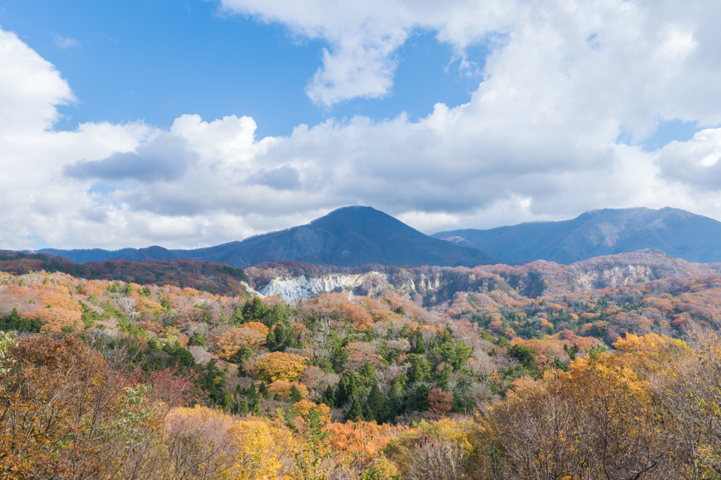 紅葉求めて