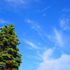 雨のち晴れ