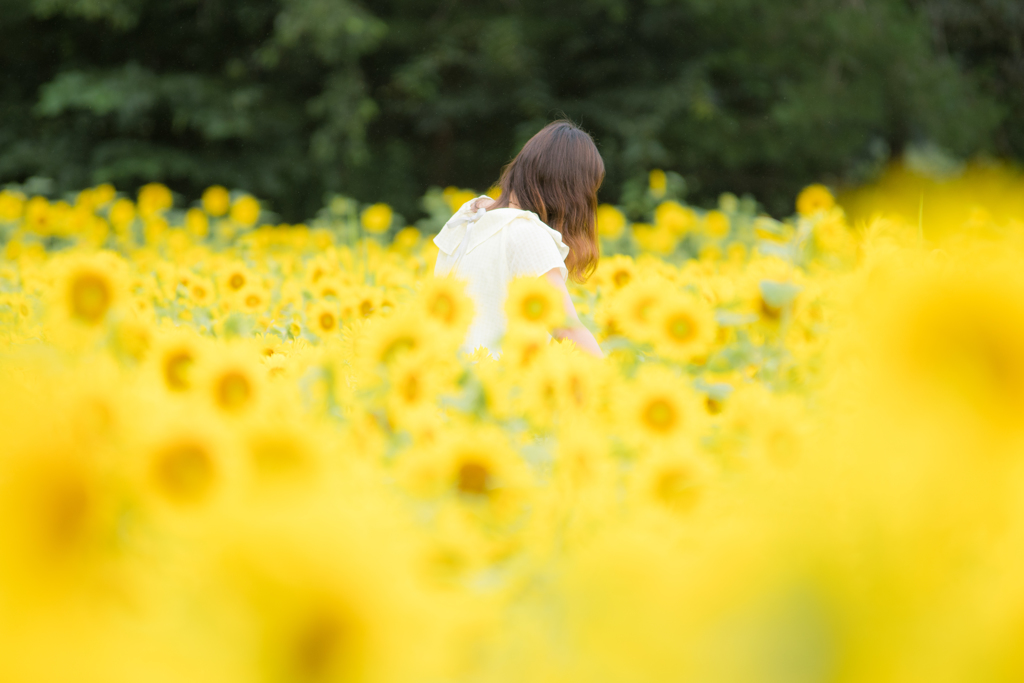 思い出は1％の季節と99％の君