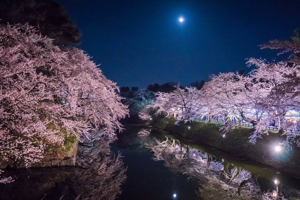 月夜桜 by Zwei （ID：5597069） - 写真共有サイト:PHOTOHITO