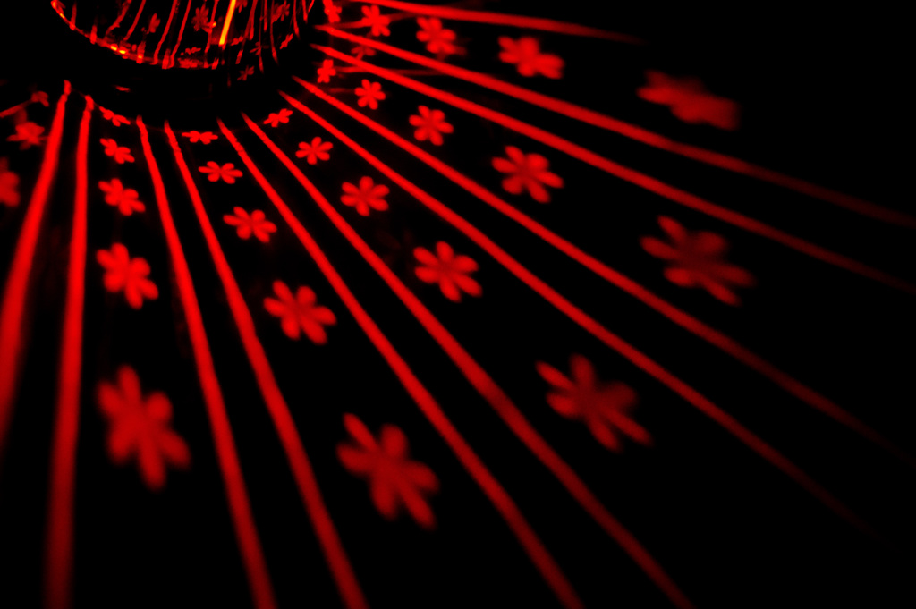溢れ出す花