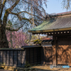 武家屋敷