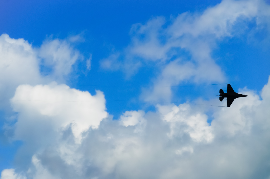 空舞うシルエット
