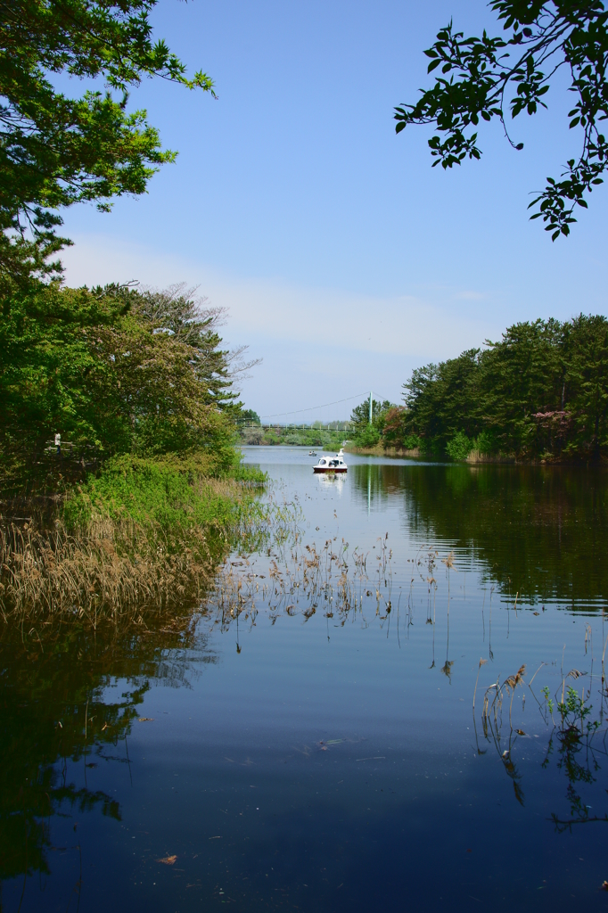 水面に幸せ二つ