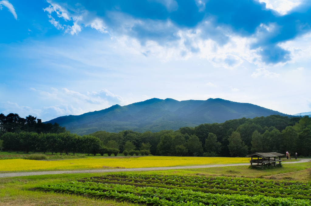 田舎風景