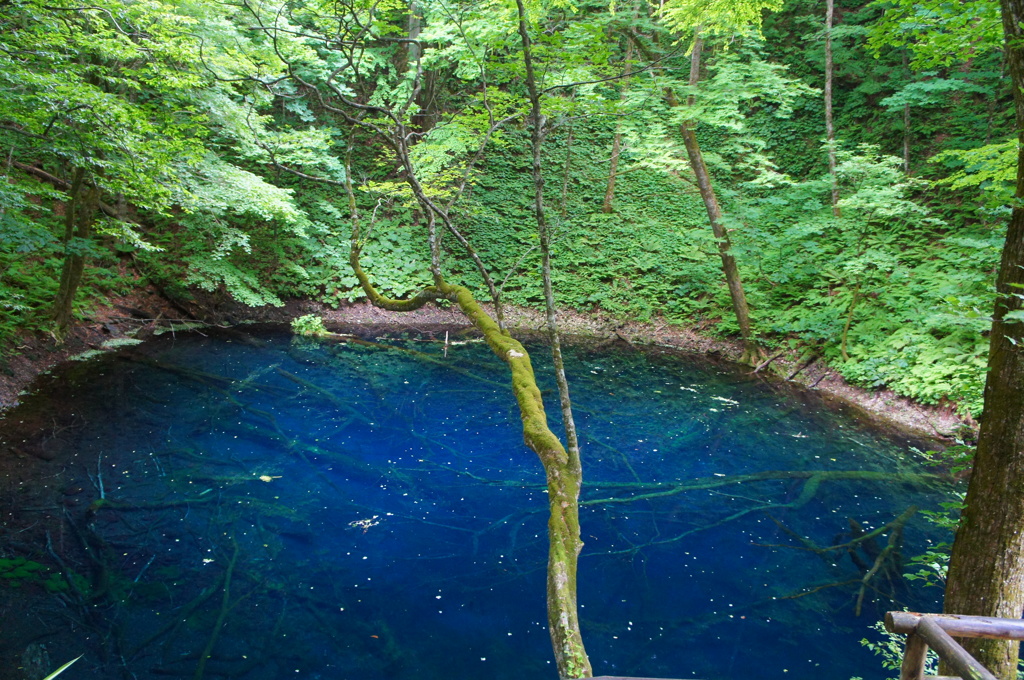 水面の星空