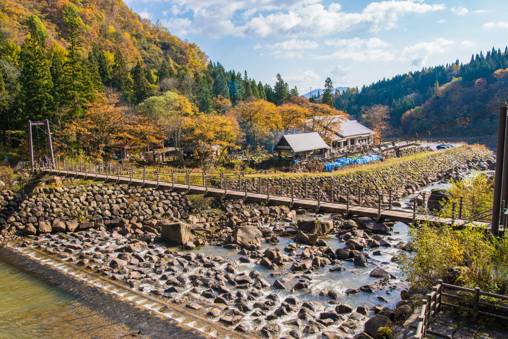 彩られた樹々と橋