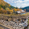 彩られた樹々と橋