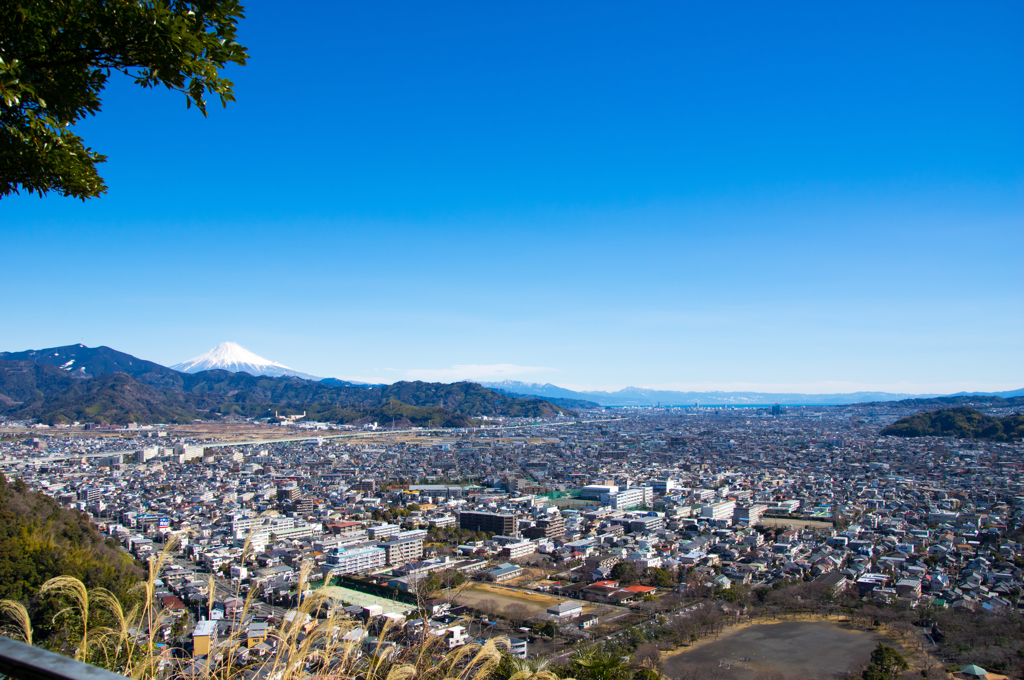 静岡市街と富士山