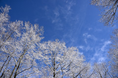 空の青さと雪の白さ
