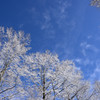 空の青さと雪の白さ