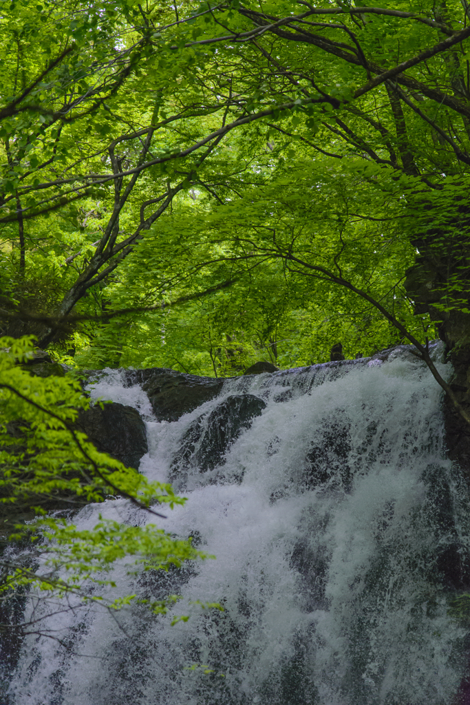 躍動の浅間大滝